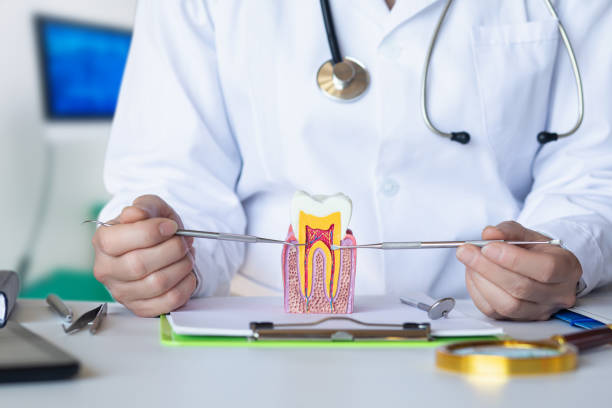 Best Emergency Root Canal Treatment in Blue Mound, IL